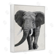 Ziwei Li | Elephant Marching Safari Animal