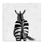 Victoria Borges | Zebra Butt Portrait
