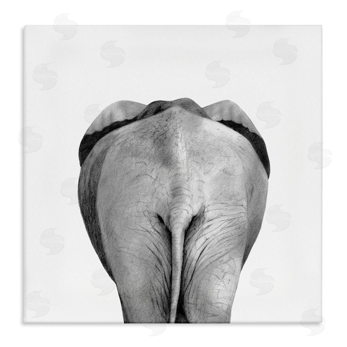 Elephant Butt Portrait Canvas Wall Art, Home Decor by Victoria Borges