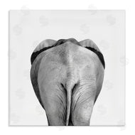 Victoria Borges | Elephant Butt Portrait
