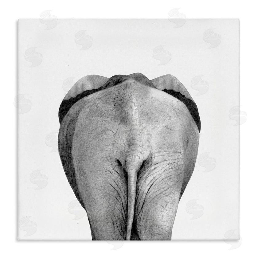 Victoria Borges | Elephant Butt Portrait