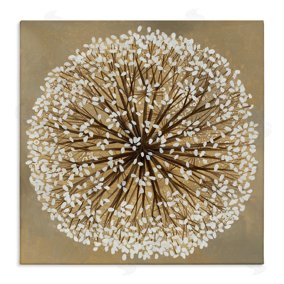 Abstract Dandelion Flower Full Bloom Canvas Wall Art, Home Decor by Liz Jardine