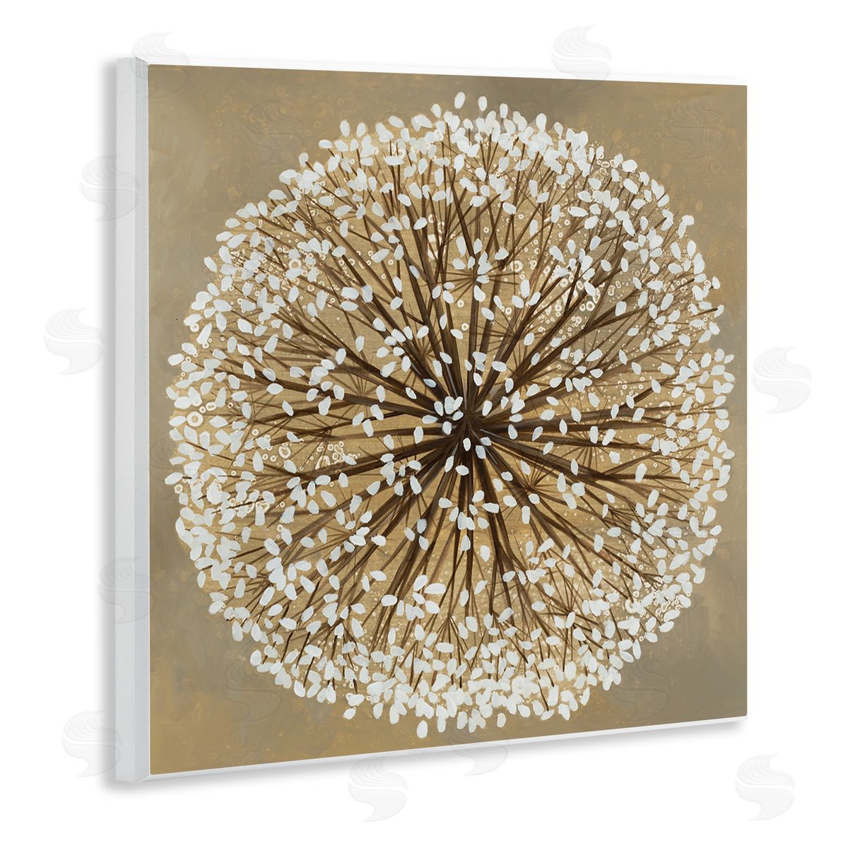 Abstract Dandelion Flower Full Bloom Wood Plaque Wall Art, Home Decor by Liz Jardine
