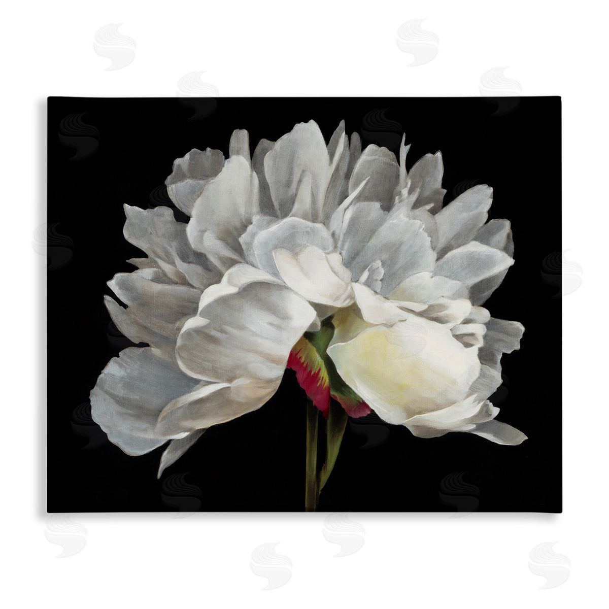 Delicate White Flower Canvas Wall Art, Home Decor by Liz Jardine