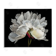 Liz Jardine | Delicate White Flower