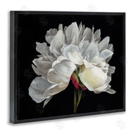 Liz Jardine | Delicate White Flower