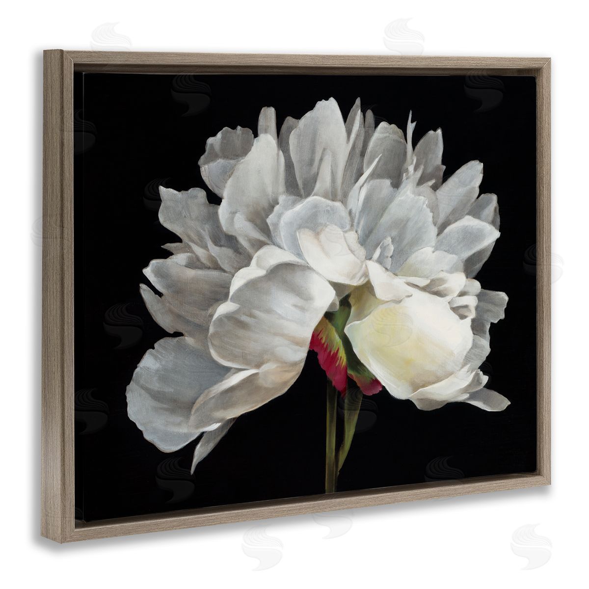 Delicate White Flower Brown Floating Frame Canvas Wall Art, Home Decor by Liz Jardine