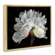Liz Jardine | Delicate White Flower