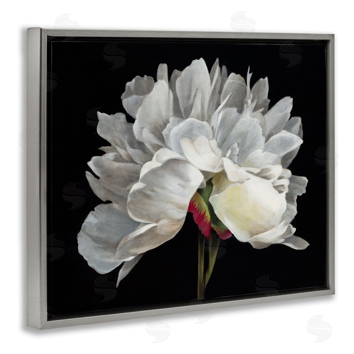 Delicate White Flower Grey Floating Frame Canvas Wall Art, Home Decor by Liz Jardine