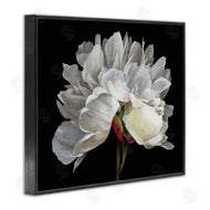 Liz Jardine | Delicate White Flower