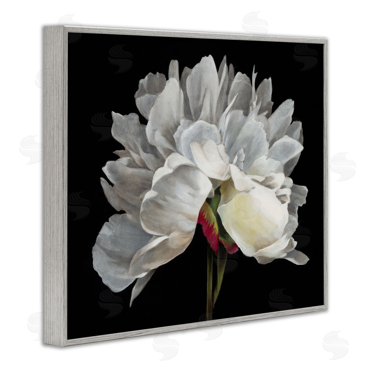 Delicate White Flower Grey Frame Print Wall Art, Home Decor by Liz Jardine