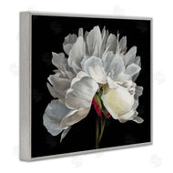 Liz Jardine | Delicate White Flower
