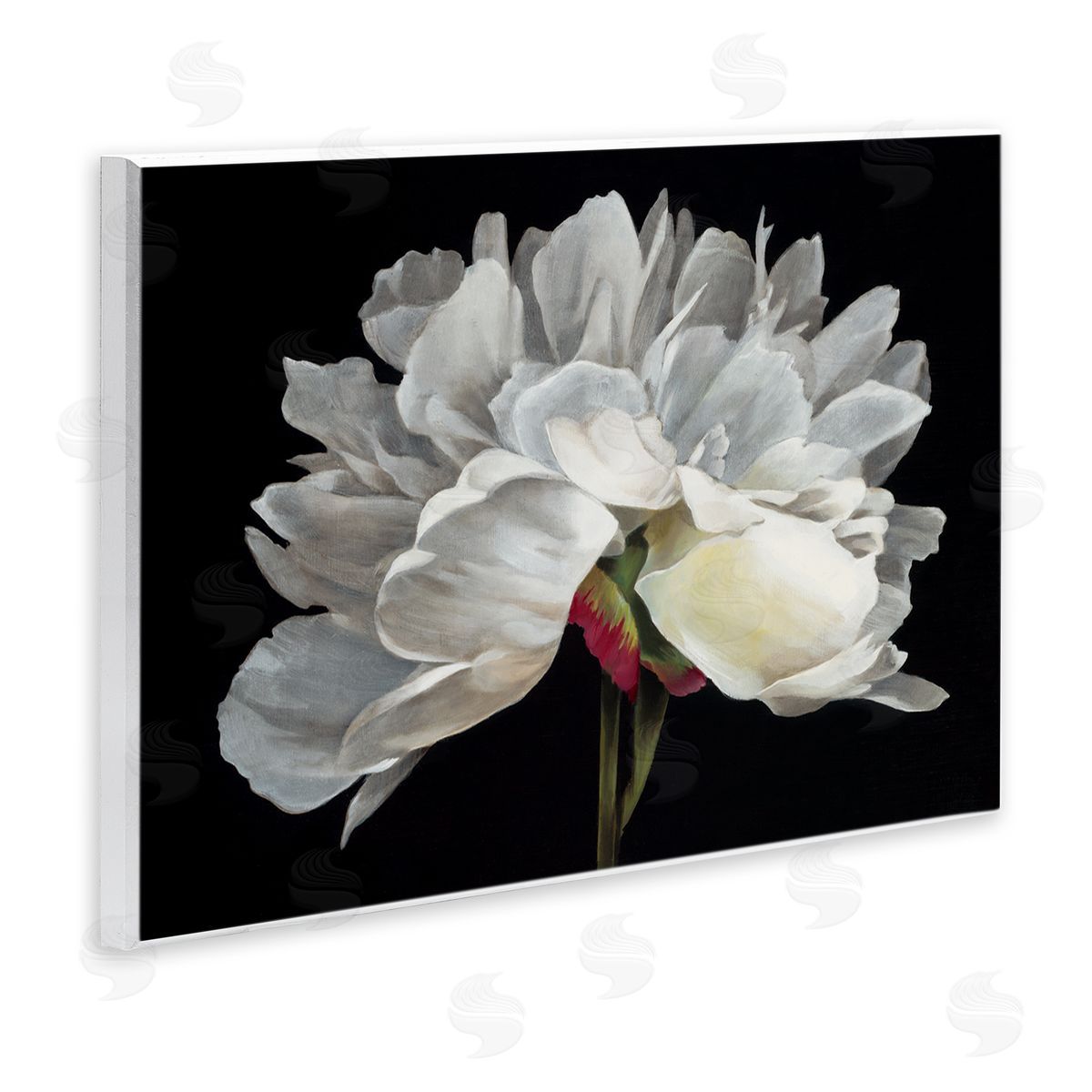 Delicate White Flower Wood Plaque Wall Art, Home Decor by Liz Jardine