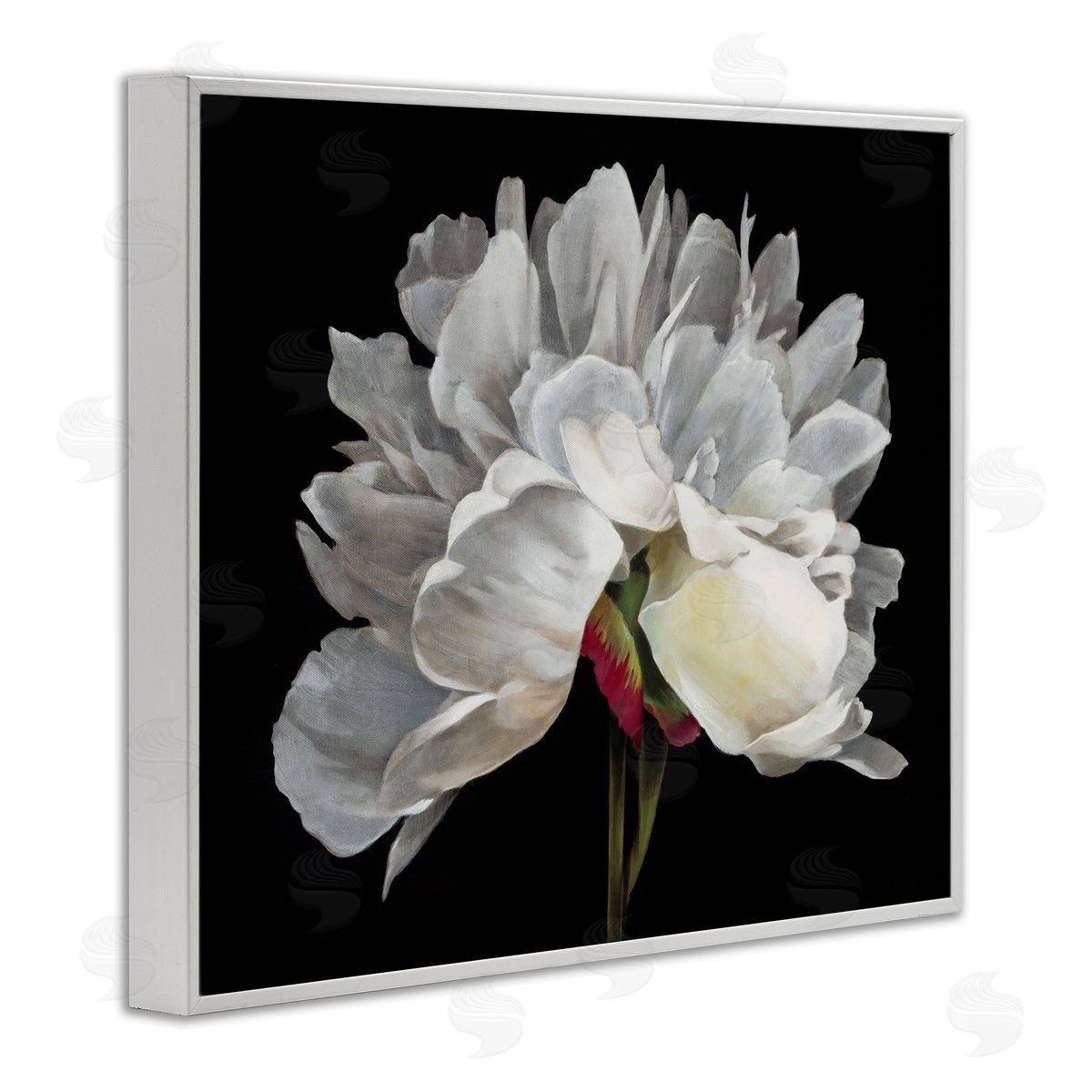 Delicate White Flower White Frame Print Wall Art, Home Decor by Liz Jardine