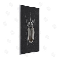 Ziwei Li | Horned Beetle Minimal Black