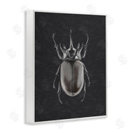 Ziwei Li | Horned Beetle Minimal Black
