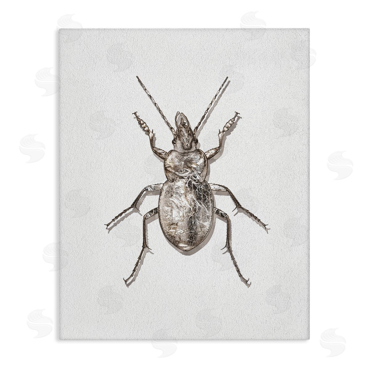 Textured Beetle Minimal Off-White Canvas Wall Art, Home Decor by Ziwei Li