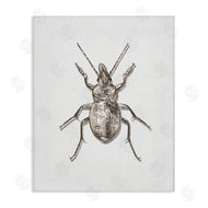 Ziwei Li | Textured Beetle Minimal Off-White