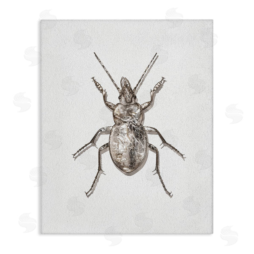 Ziwei Li | Textured Beetle Minimal Off-White