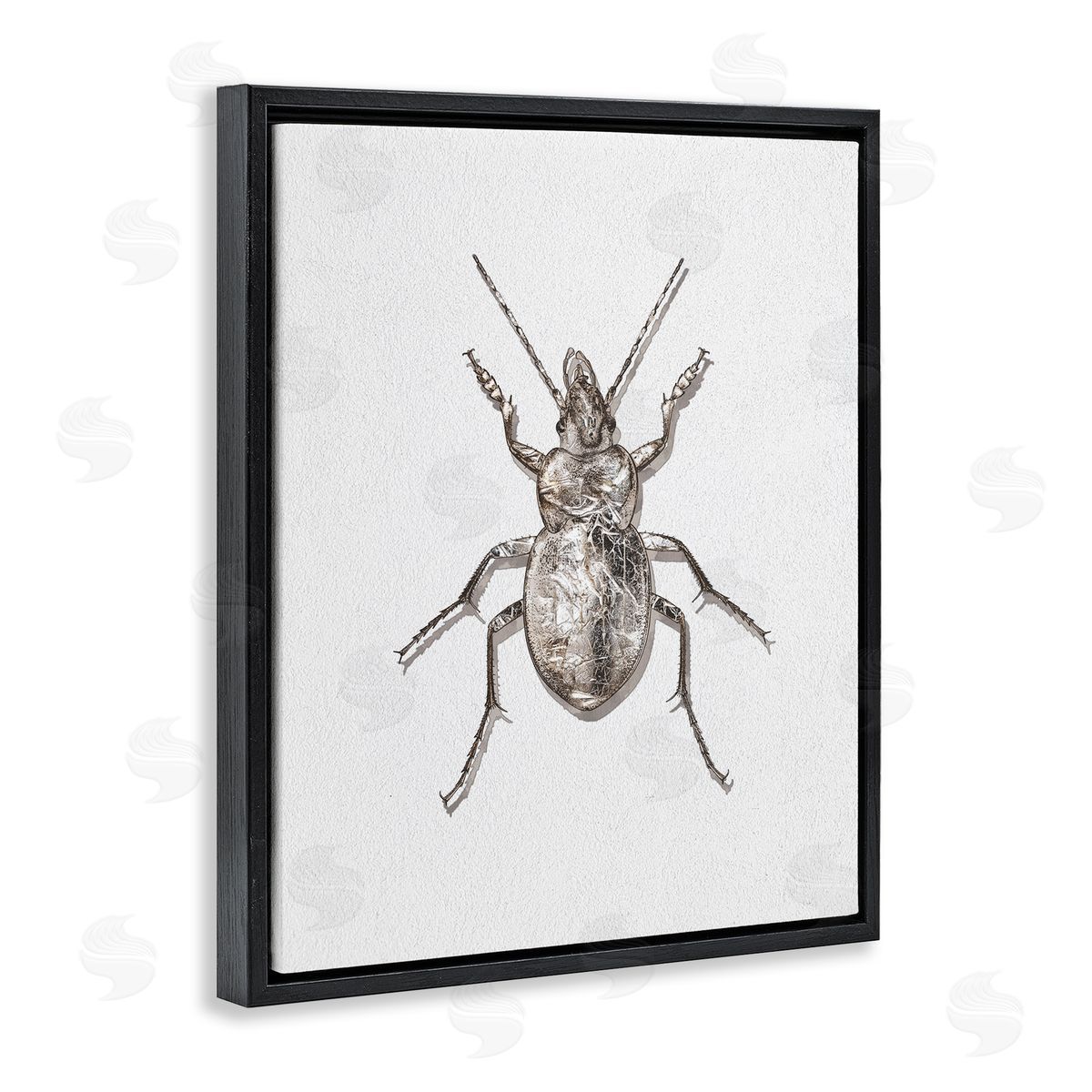 Textured Beetle Minimal Off-White Black Floating Frame Canvas Wall Art, Home Decor by Ziwei Li