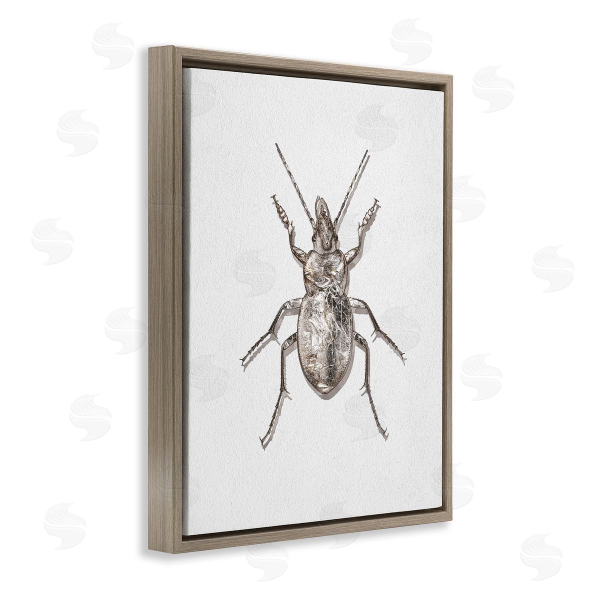 Textured Beetle Minimal Off-White Brown Floating Frame Canvas Wall Art, Home Decor by Ziwei Li