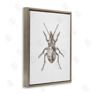Ziwei Li | Textured Beetle Minimal Off-White