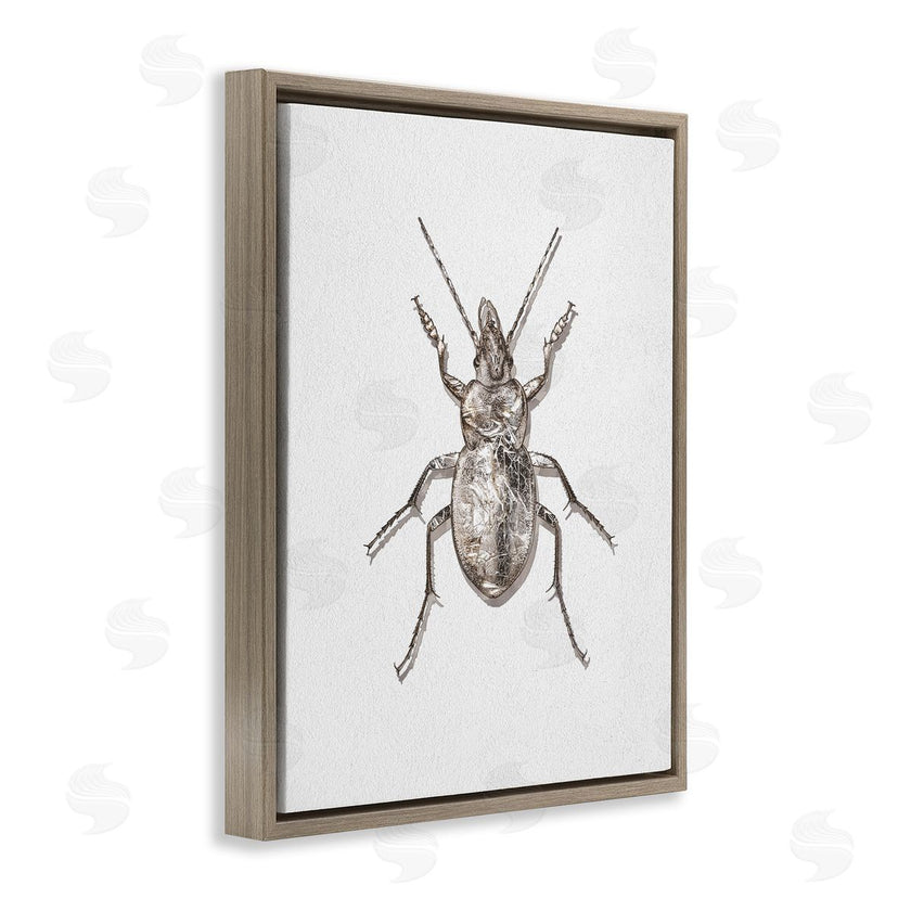 Ziwei Li | Textured Beetle Minimal Off-White