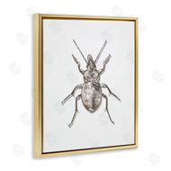 Ziwei Li | Textured Beetle Minimal Off-White