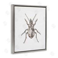 Ziwei Li | Textured Beetle Minimal Off-White