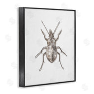 Ziwei Li | Textured Beetle Minimal Off-White