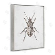 Ziwei Li | Textured Beetle Minimal Off-White