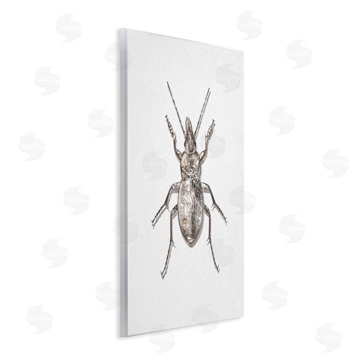 Textured Beetle Minimal Off-White Wood Plaque Wall Art, Home Decor by Ziwei Li