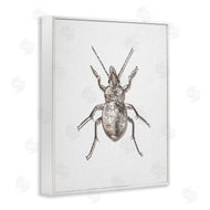 Ziwei Li | Textured Beetle Minimal Off-White
