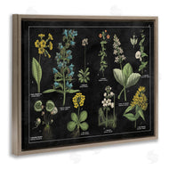 Wild Apple Portfolio | Antique Wild Flower Chart
