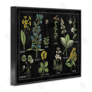 Wild Apple Portfolio | Antique Wild Flower Chart