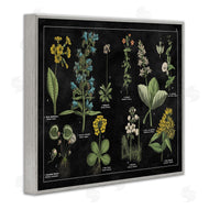 Wild Apple Portfolio | Antique Wild Flower Chart