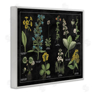 Wild Apple Portfolio | Antique Wild Flower Chart
