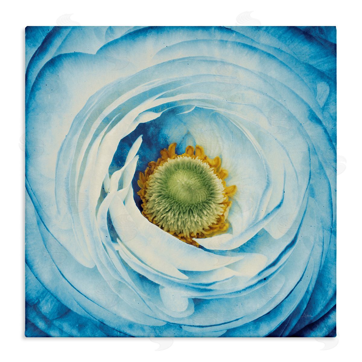 Blue Flower Close Up Canvas Wall Art, Home Decor by Aledanda