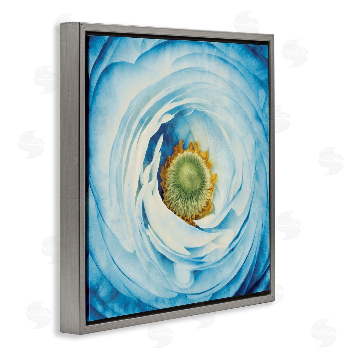 Blue Flower Close Up Grey Floating Frame Canvas Wall Art, Home Decor by Aledanda