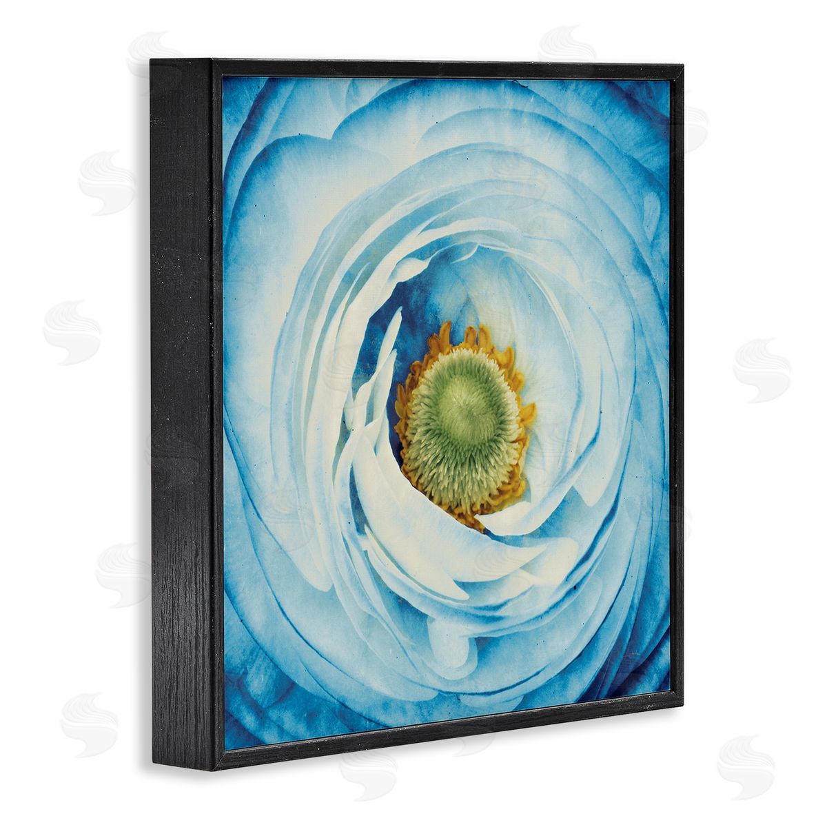 Blue Flower Close Up Black Frame Print Wall Art, Home Decor by Aledanda