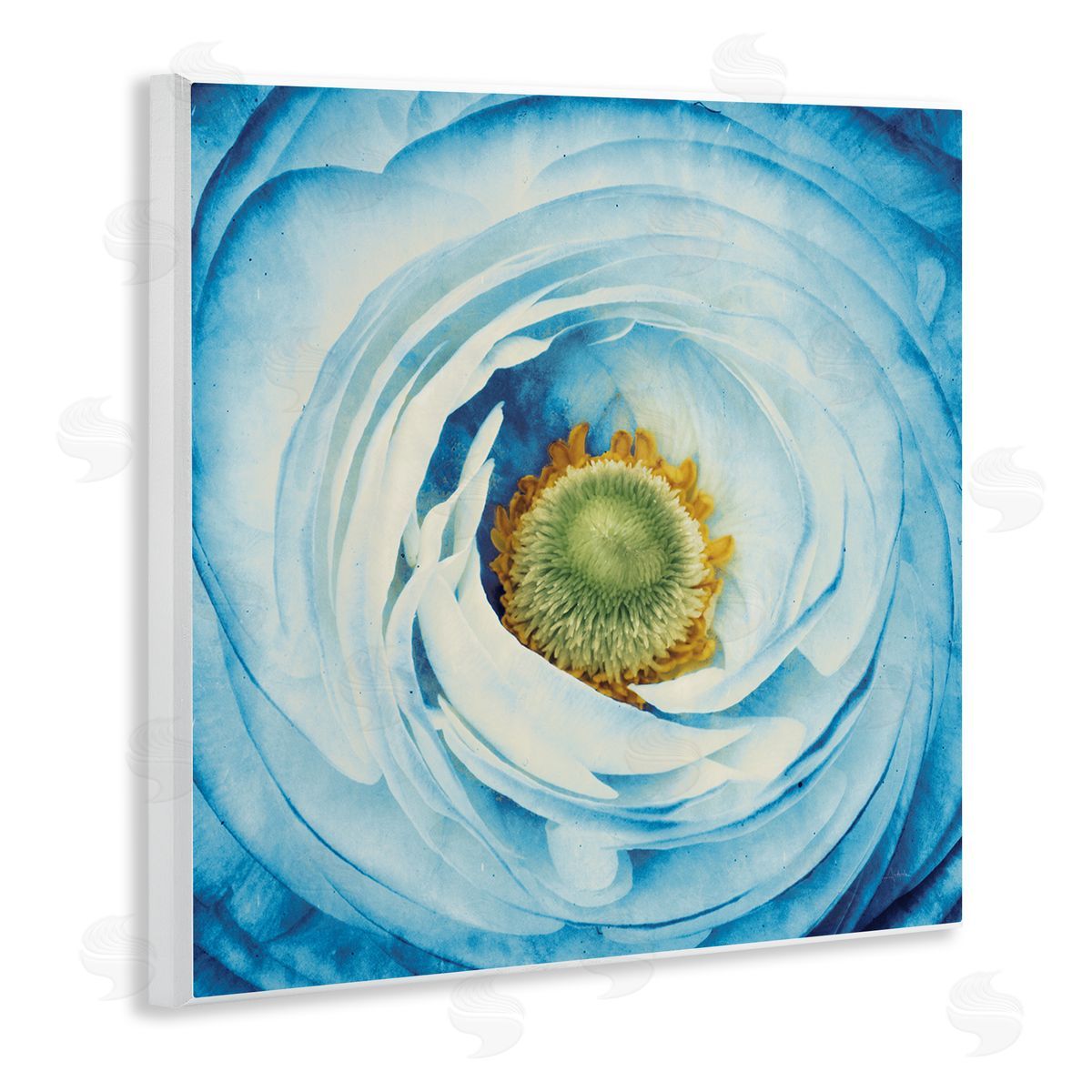 Blue Flower Close Up Wood Plaque Wall Art, Home Decor by Aledanda