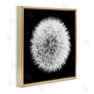 Aledanda | Dandelion Black & White Photograph