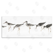 Avery Tillmore | Minimal Beach Bird Sandpipers