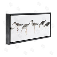 Avery Tillmore | Minimal Beach Bird Sandpipers