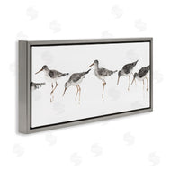 Avery Tillmore | Minimal Beach Bird Sandpipers