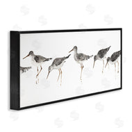 Avery Tillmore | Minimal Beach Bird Sandpipers