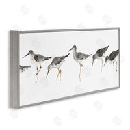 Avery Tillmore | Minimal Beach Bird Sandpipers