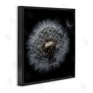 Andre Eichman | Close Up Dandelion Petals