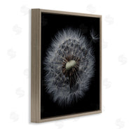 Andre Eichman | Close Up Dandelion Petals