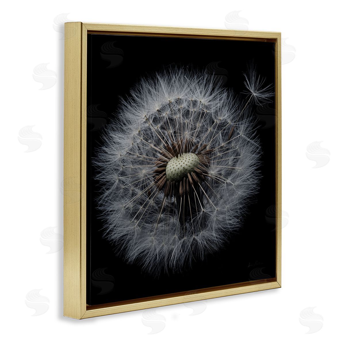 Close Up Dandelion Petals Gold Floating Frame Canvas Wall Art, Home Decor by Andre Eichman